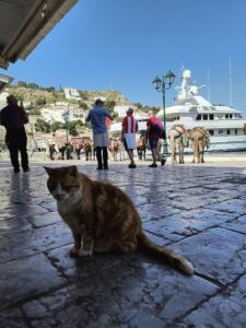 494636883_1274738321320848_3149054866790770965_n