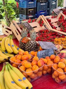 501315883_1263114842483196_6988156284917813258_n