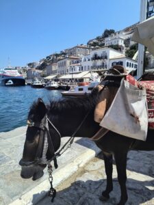 506795191_1283431837118163_7748423266237081112_n