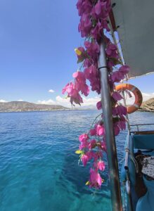 513436639_1285984173529596_5436083209637378822_n